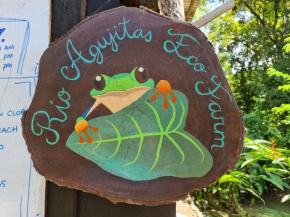 Rio Agujitas Eco jungle - Island and Corcovado tours